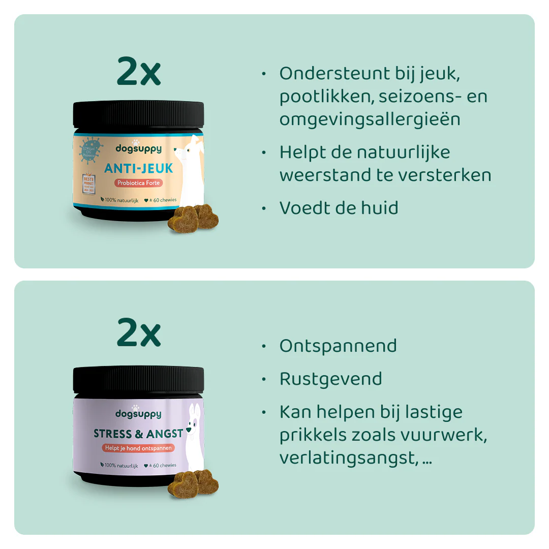 Miniatuur 2