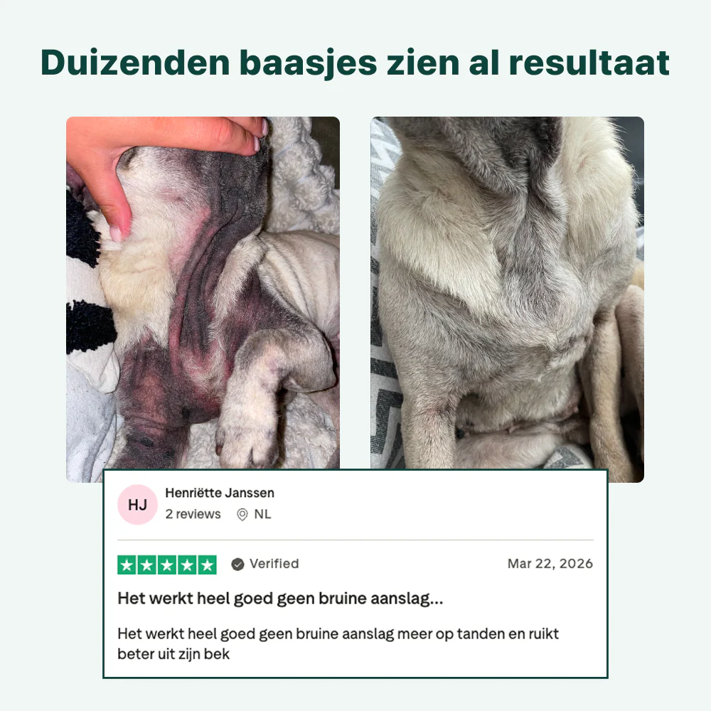 Anti-Jeuk Probiotica Forte | 100% natuurlijk - Image 9