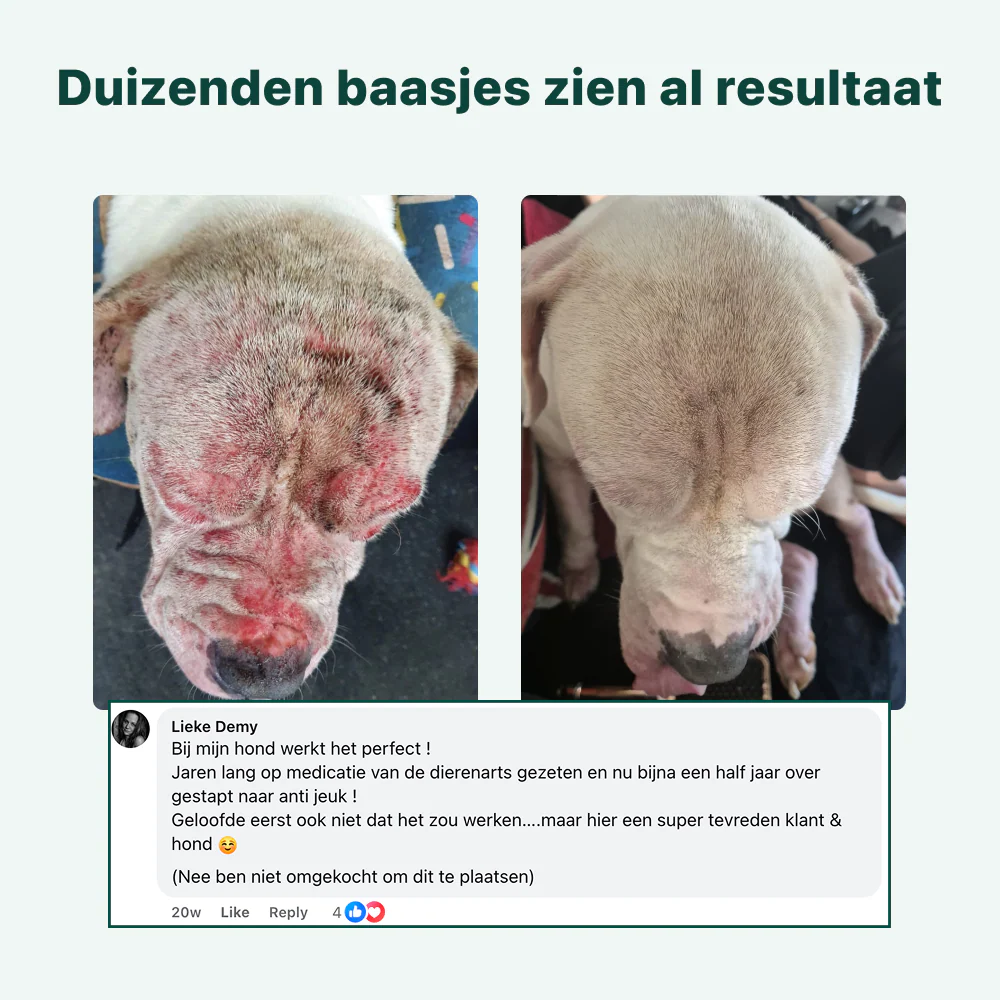 Anti-Jeuk Probiotica Forte | 100% natuurlijk - Image 8