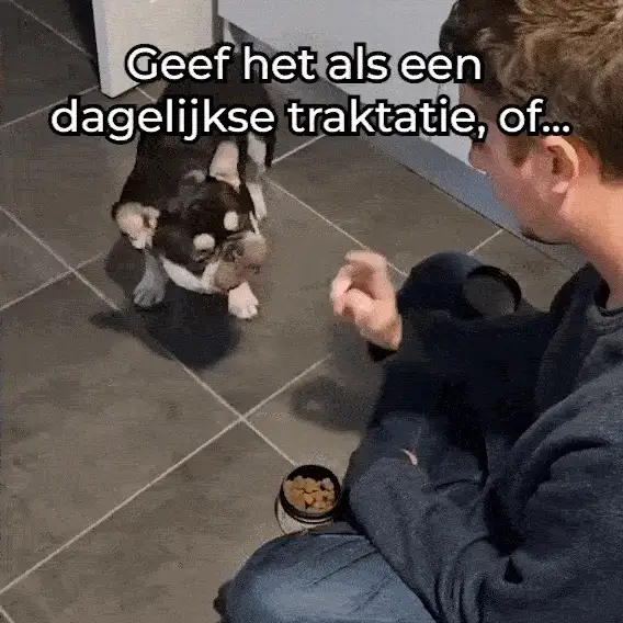 Anti-Jeuk Probiotica 🌿 60 snoepjes - Image 16