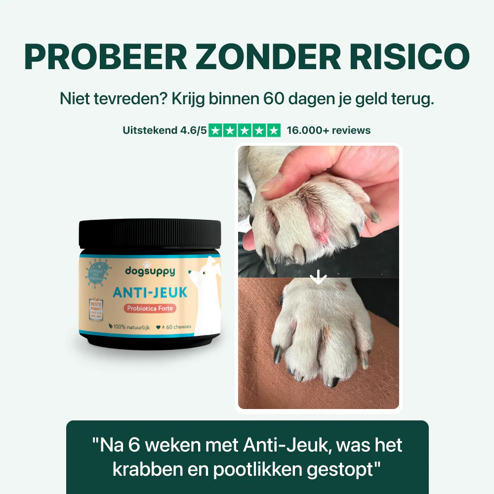 Anti-Jeuk Probiotica Forte | 100% natuurlijk - Image 7