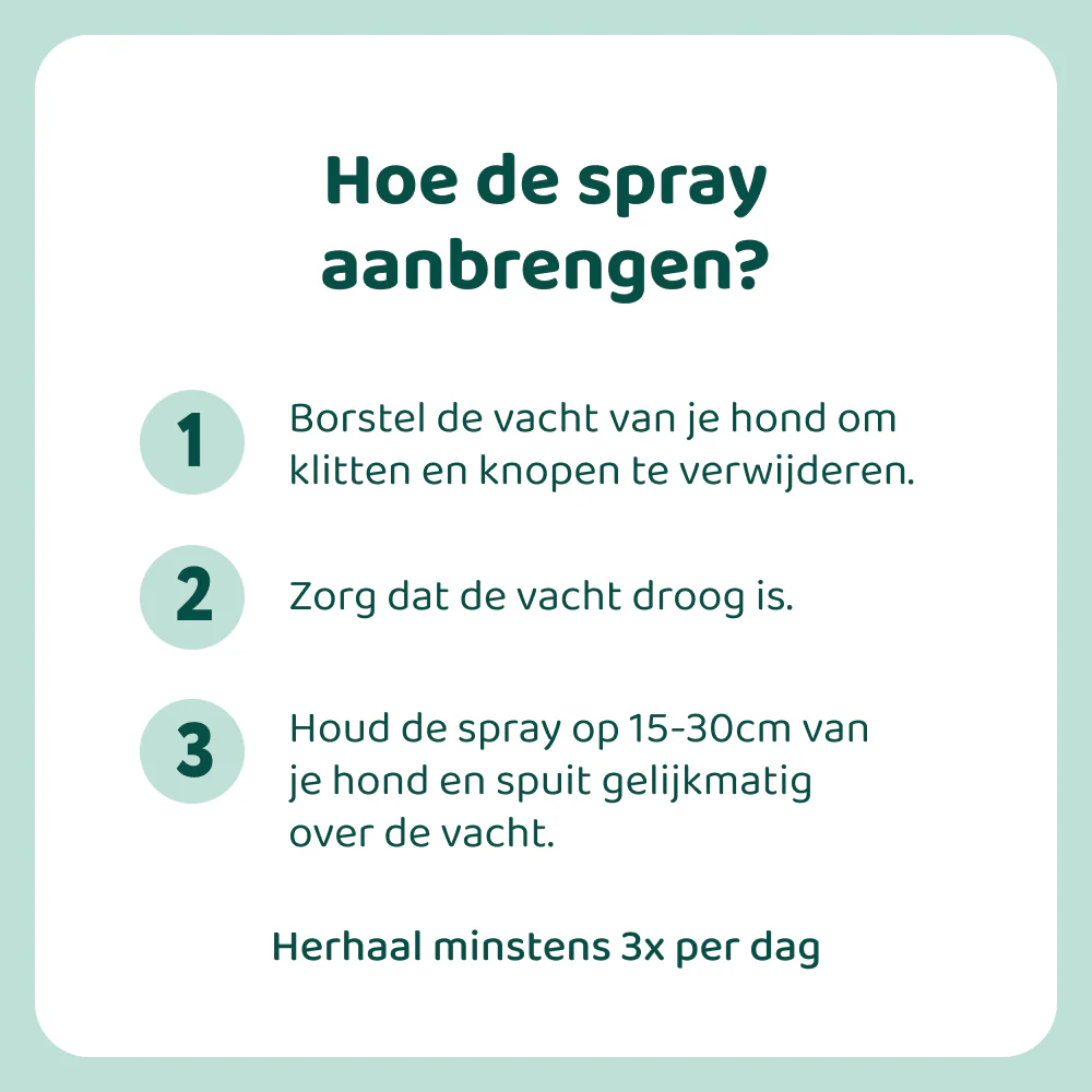 Anti-Jeuk Spray 🌿 250ml - Image 7