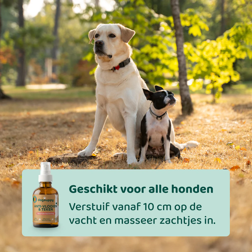 Anti-Parasiet, Vlooi en Teken 🌿 100 ml - Image 5