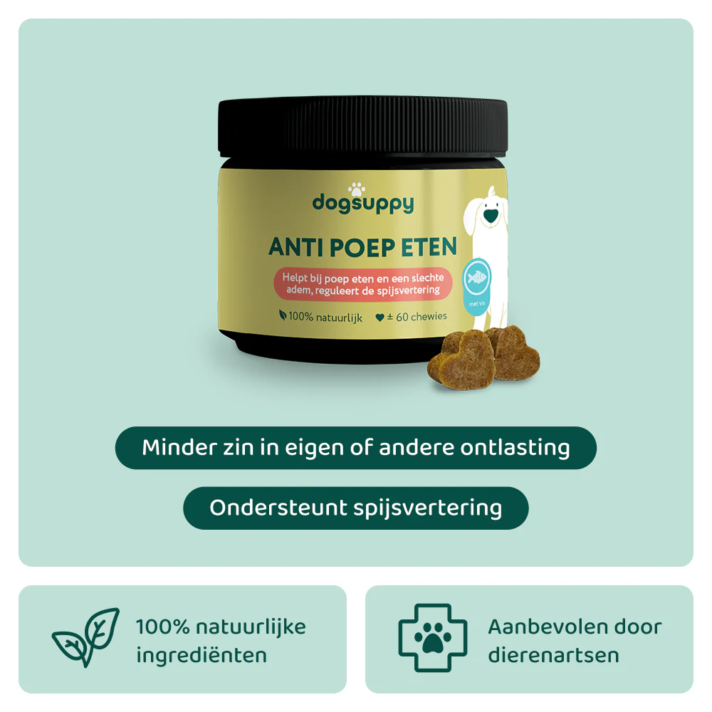 Onze supplementen