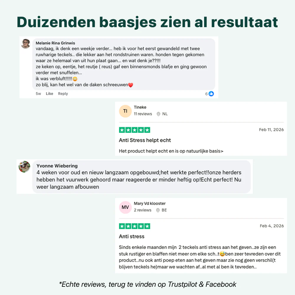 Anti-Stress & Angst | 100% natuurlijk - Image 7