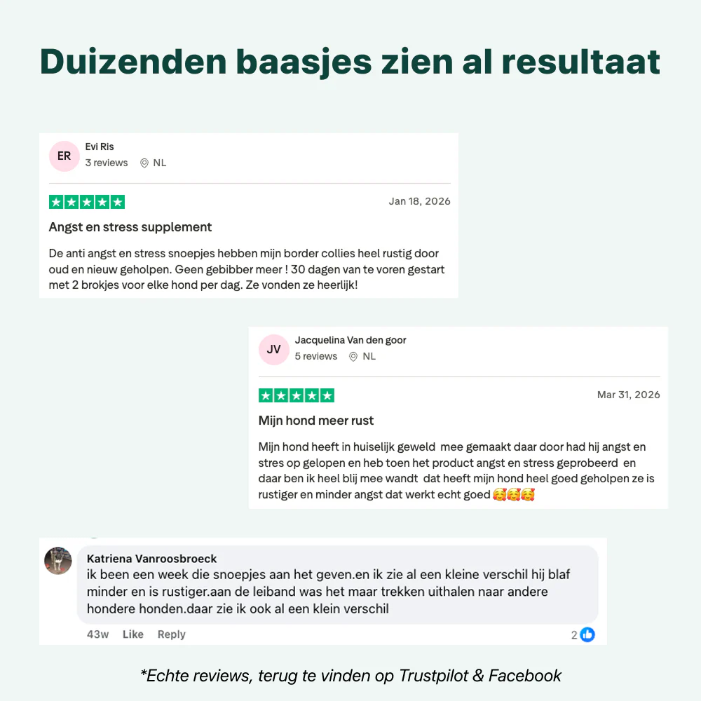 Anti-Stress & Angst | 100% natuurlijk - Image 9