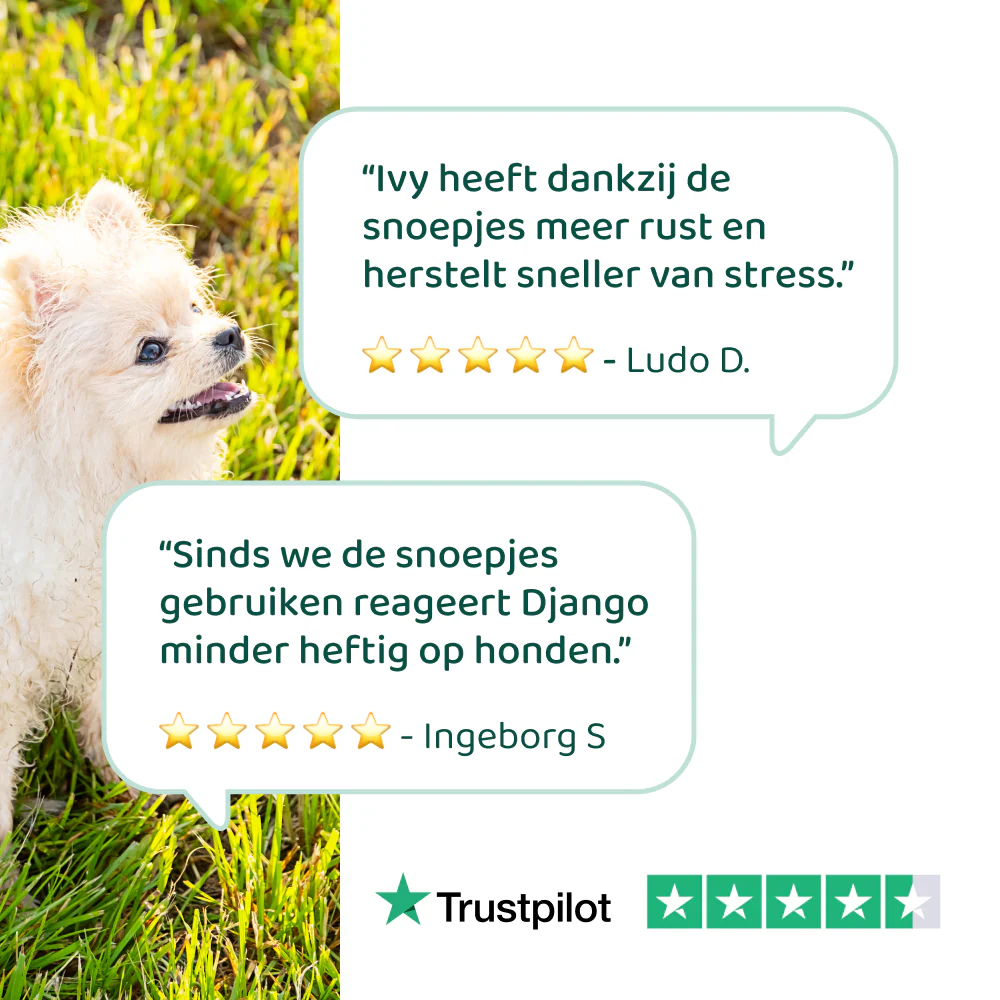 Stress & Angst 🌿 60 snoepjes - Image 5