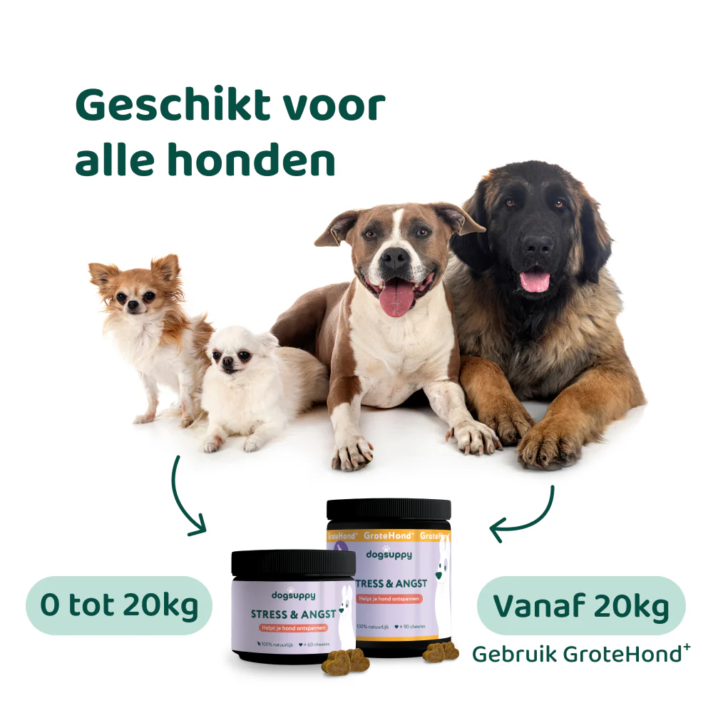 Stress & Angst 🌿 60 snoepjes - Image 7