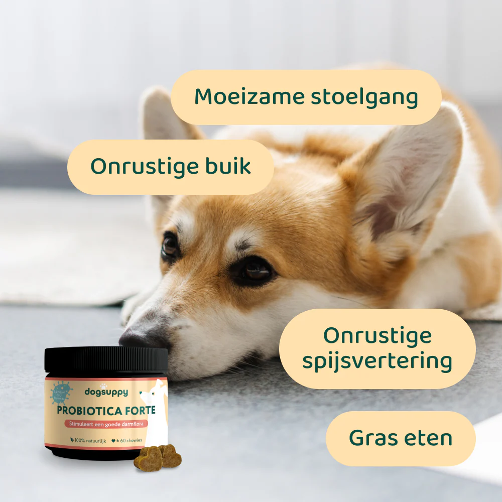 [BUN] Boost bundel - Image 3