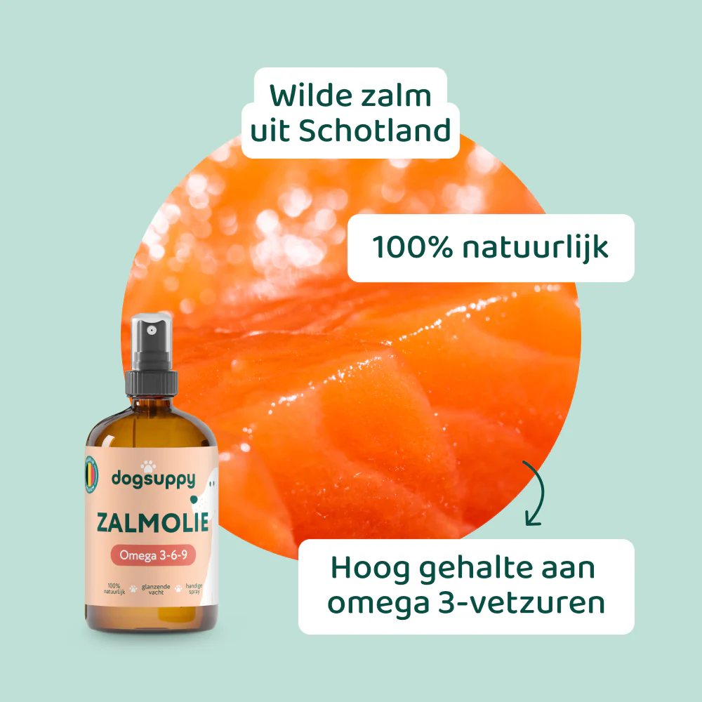 [BUN] Mooie vacht - Image 5