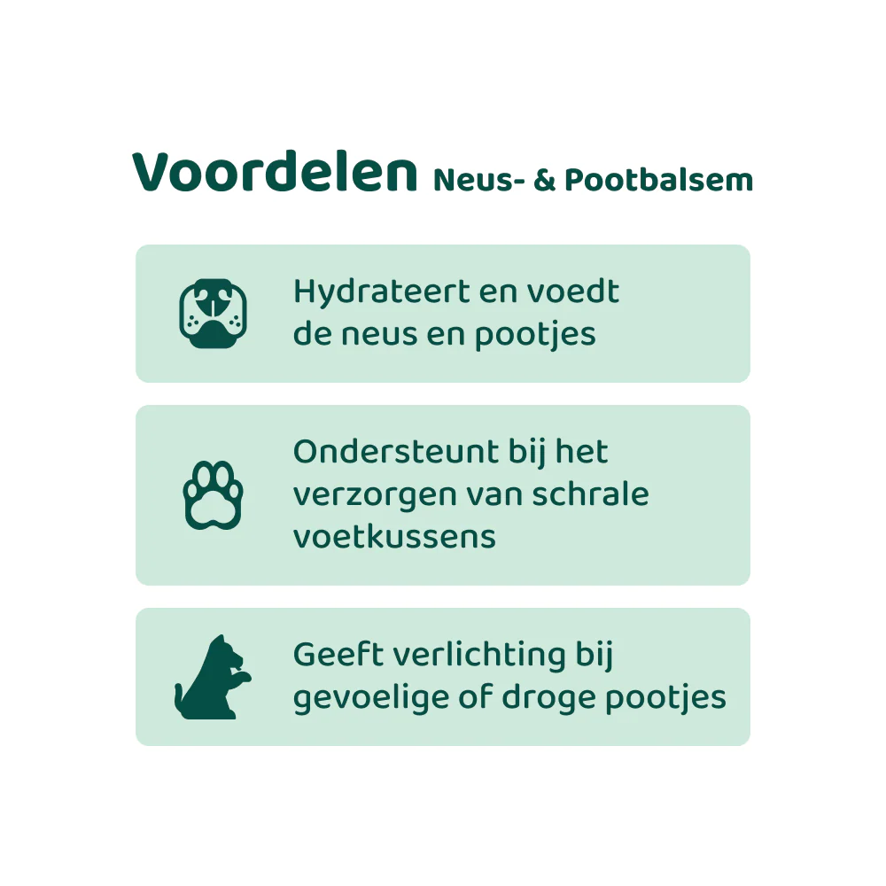 [BUN] Seizoen support - Image 6