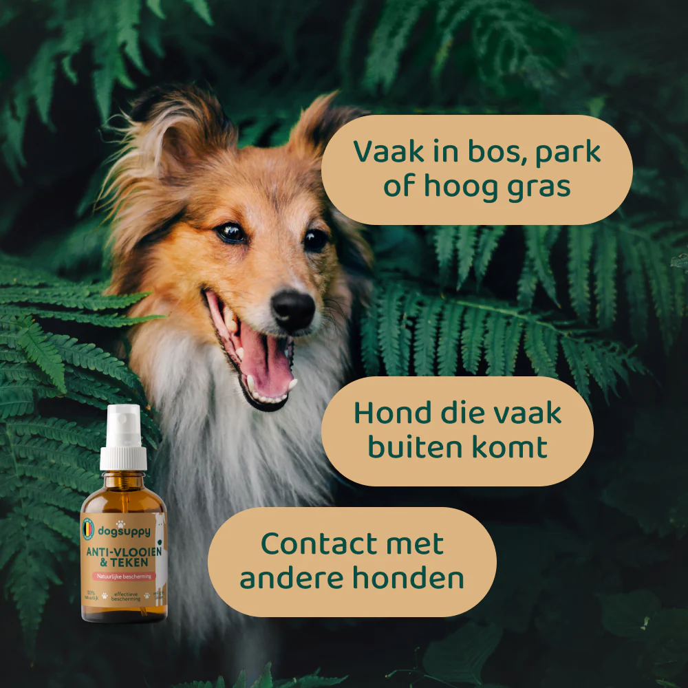 [BUN] Seizoen support - Image 7