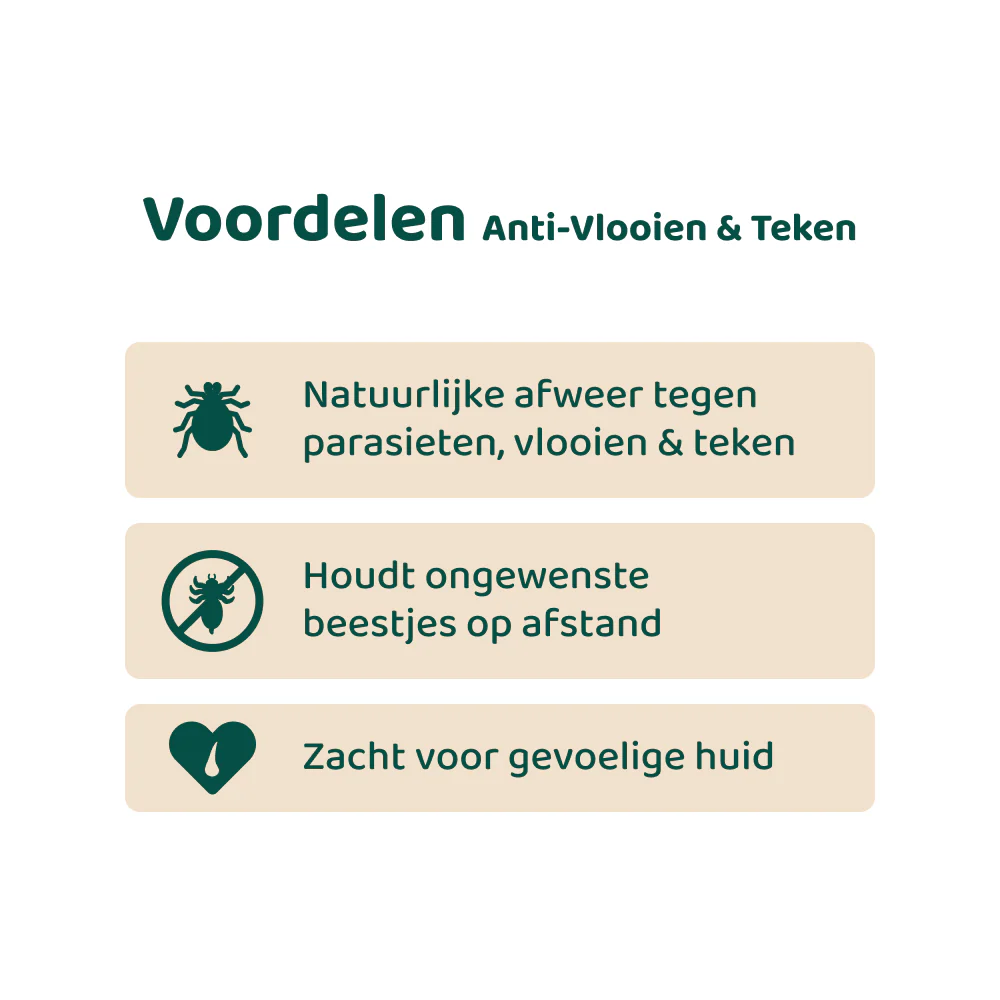 [BUN] Seizoen support - Image 8