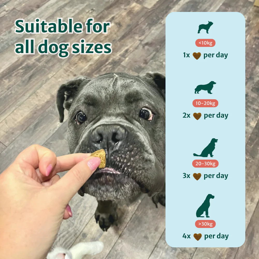 Itch Relief Probiotic Chews | Chicken Flavour | 100% Natural | 60 Soft Chews - Image 9