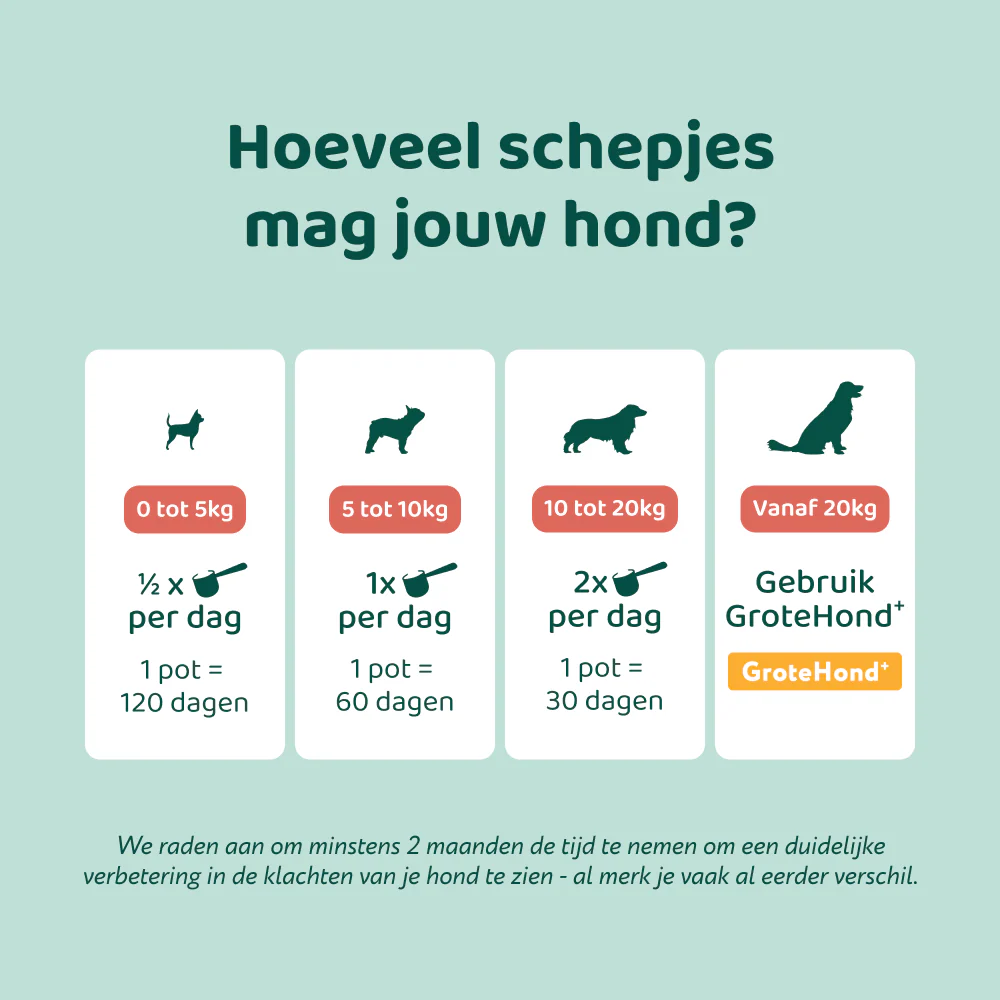 Dental Bright 🌿 60 schepjes - Image 10