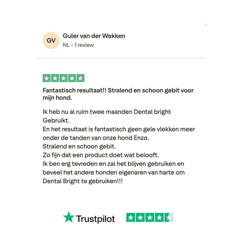 Dental Bright 🌿 60 schepjes - Image 12