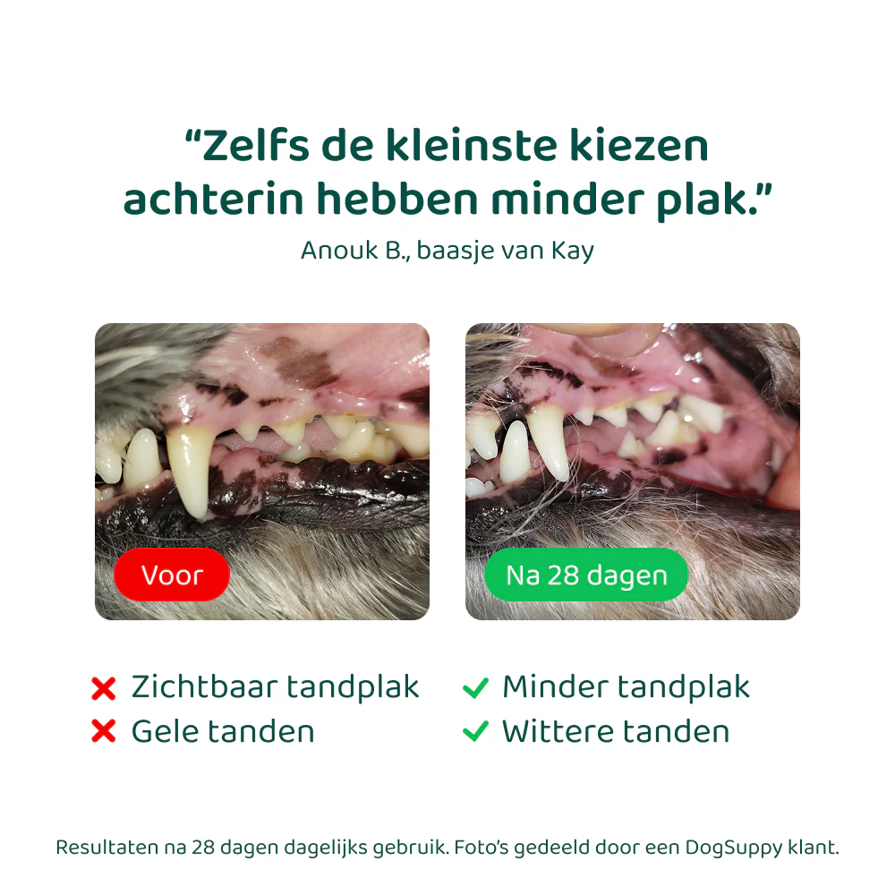 Dental Bright 🌿 60 schepjes - Image 6