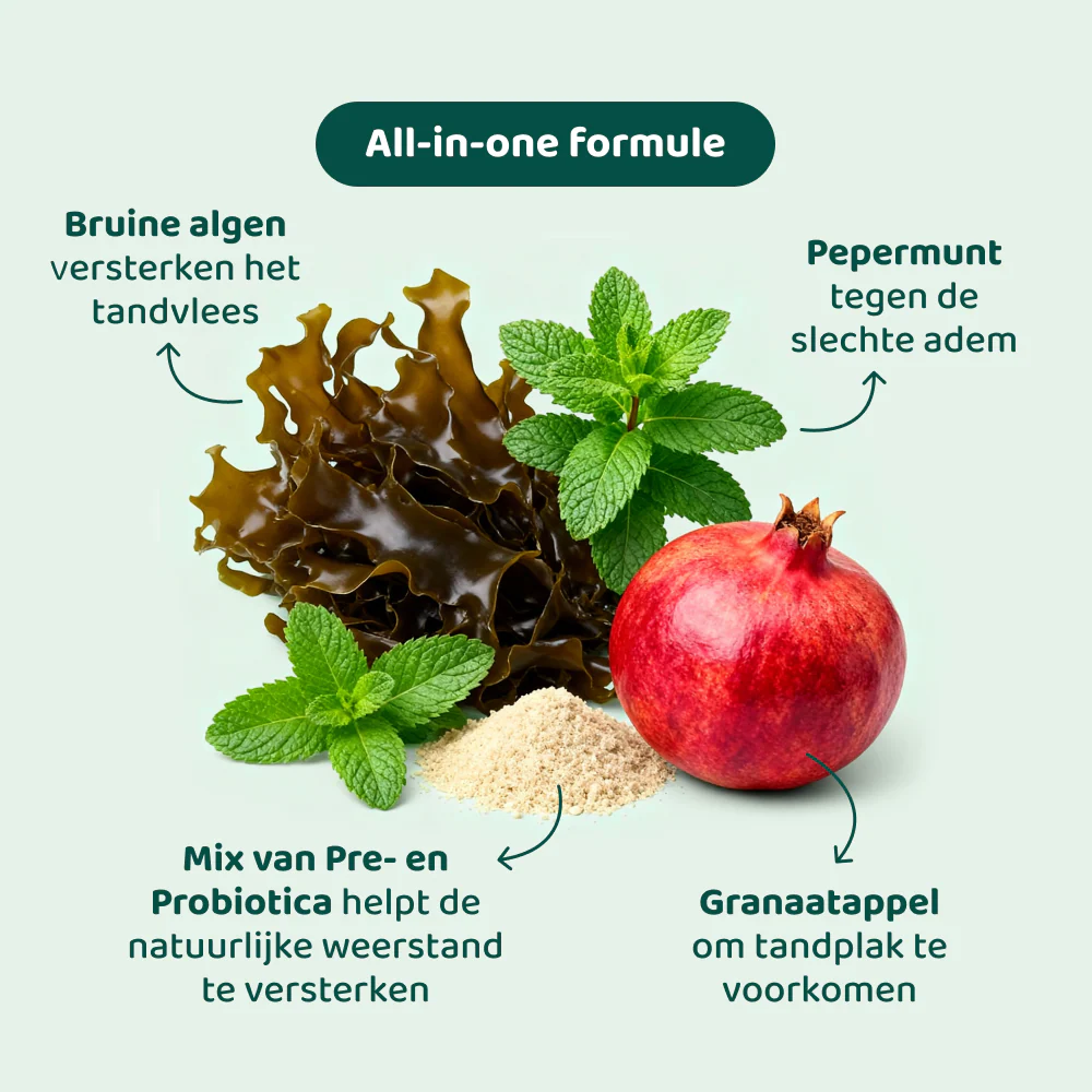 Dental Bright 🌿 60 schepjes - Image 9