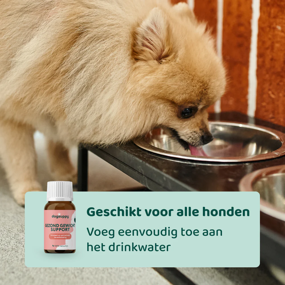 Gezond Gewicht Support 🌿 100 ml - Image 5