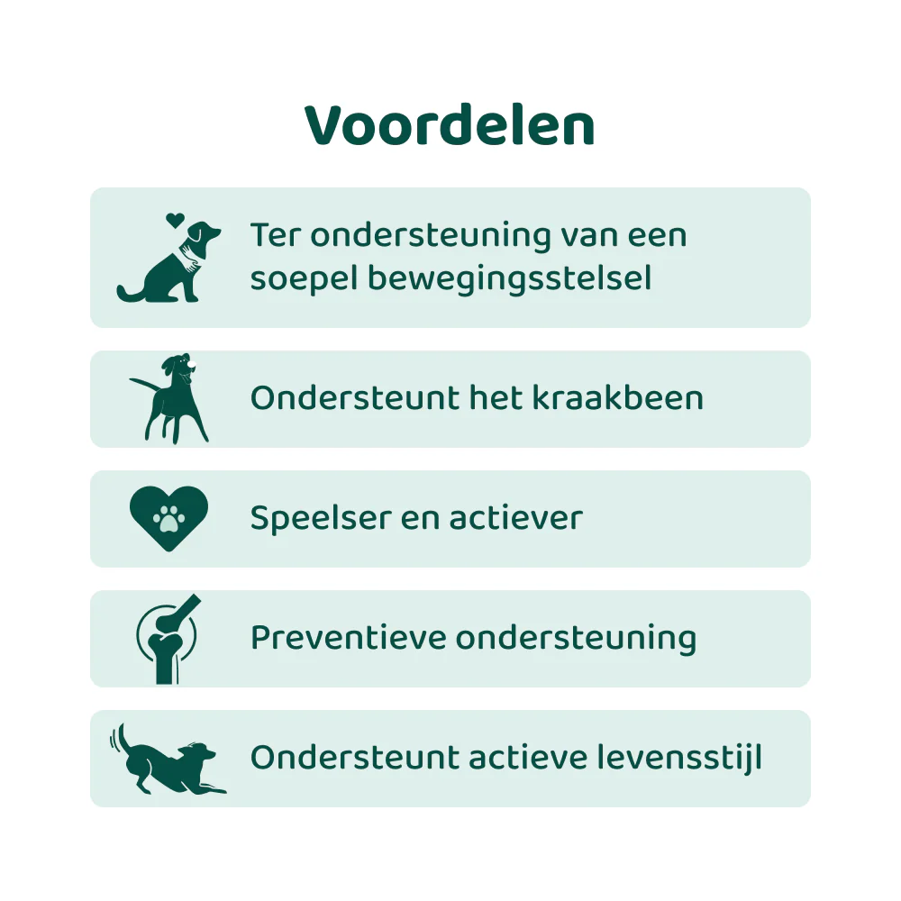Glucosamine 🌿 60 snoepjes - Image 3