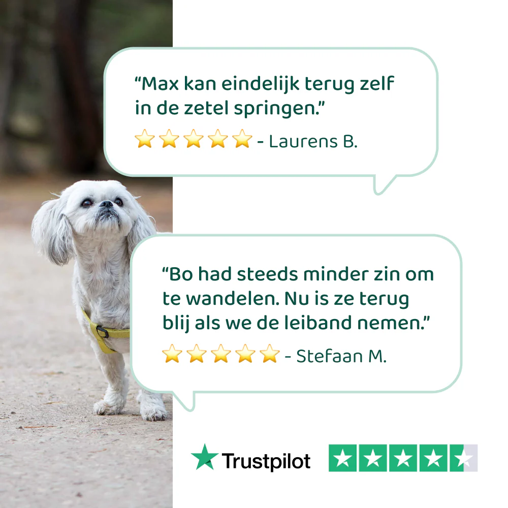 Glucosamine 🌿 60 snoepjes - Image 4