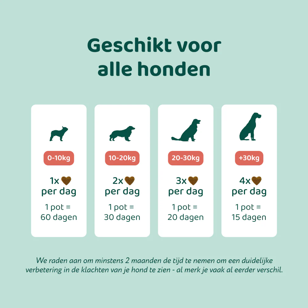 Glucosamine 🌿 60 snoepjes - Image 5