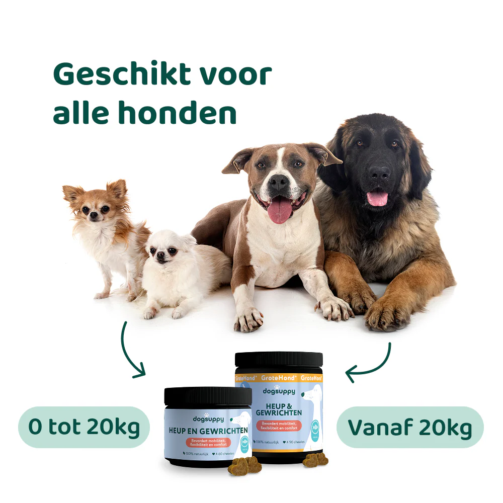 Heup & Gewrichten 🌿 60 snoepjes - Image 6