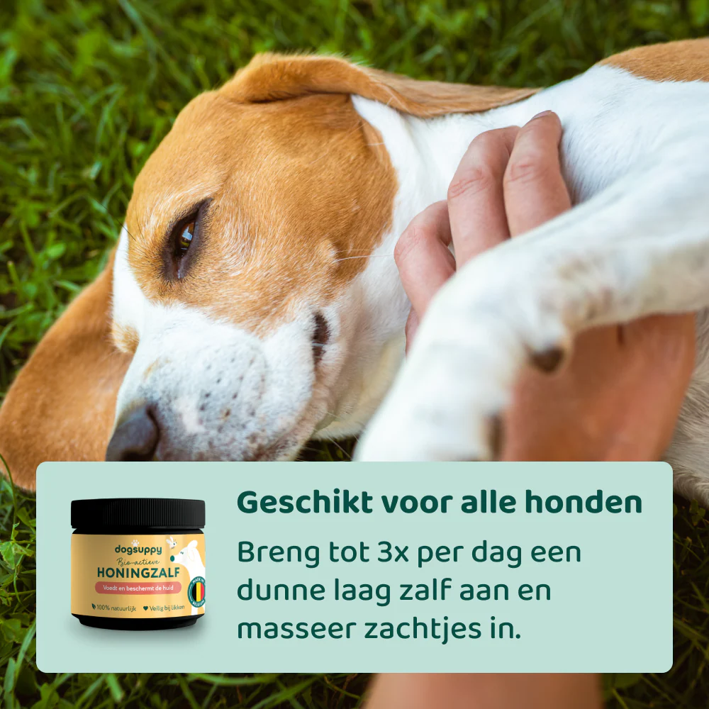 Honingzalf 🌿 125 ml - Image 5