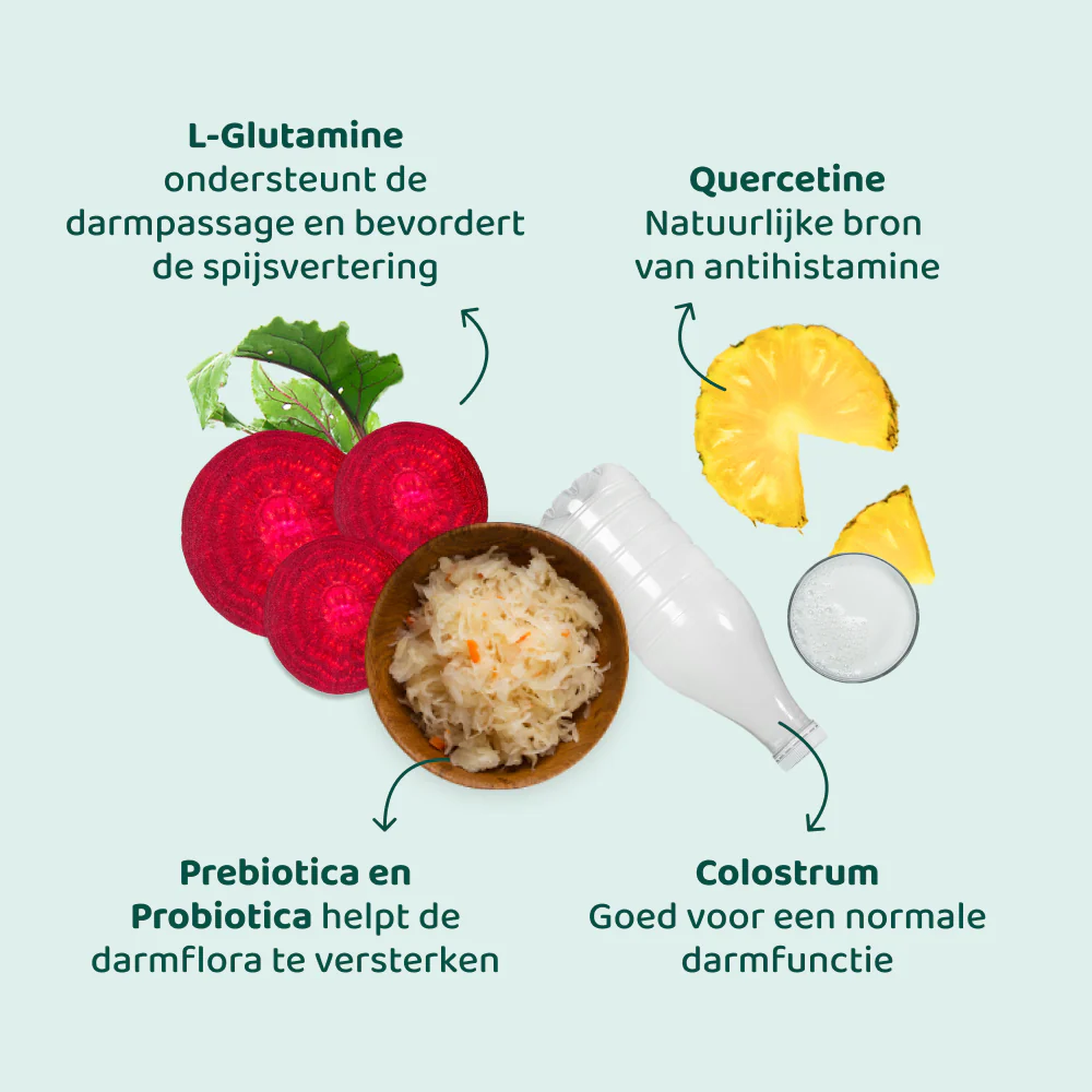 Anti-Jeuk GroteHond⁺ 🌿 90 snoepjes - Image 10