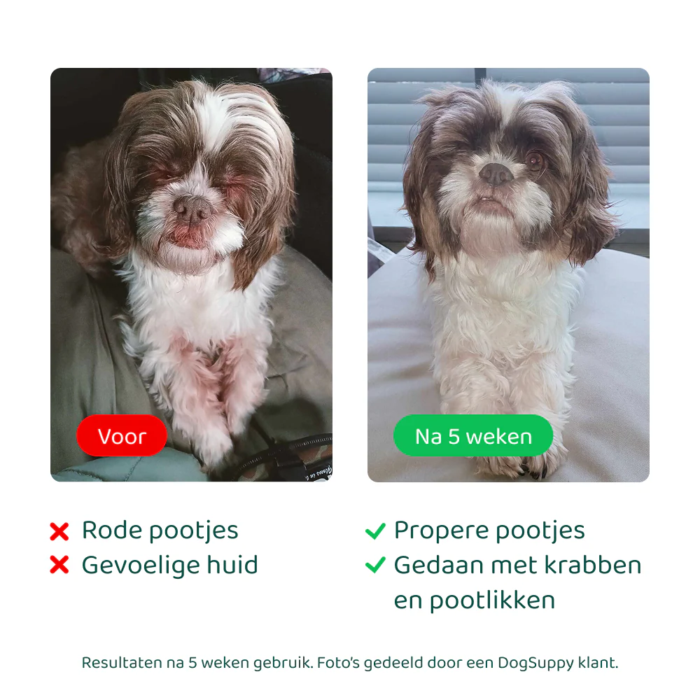 Anti-Jeuk Probiotica 🌿 60 snoepjes - Image 5