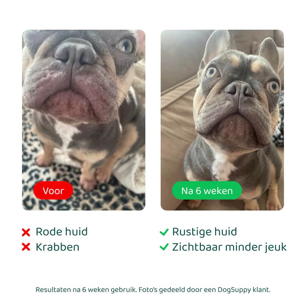 Anti-Jeuk Probiotica 🌿 60 snoepjes - Image 6