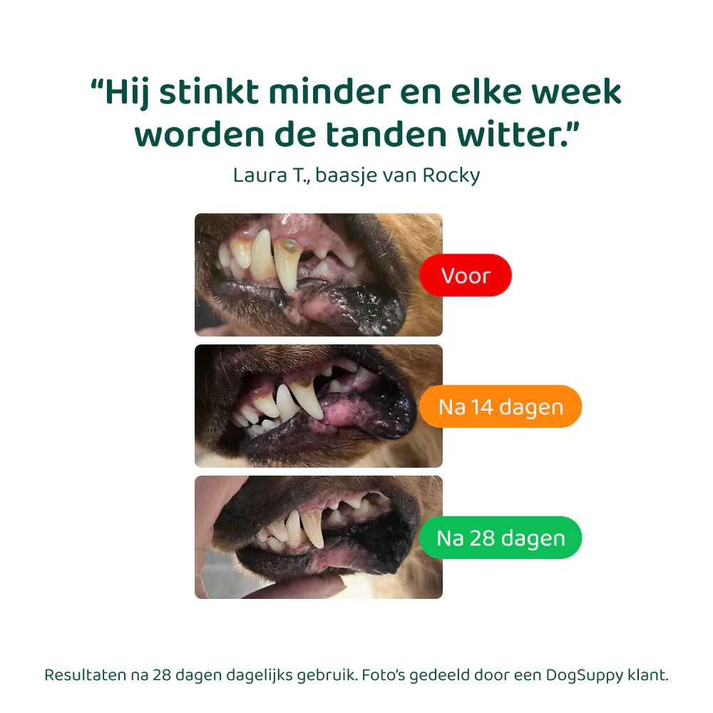 Dental Bright GroteHond⁺ 🌿 60 schepjes - Image 6