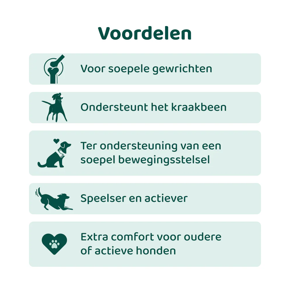 Heup & Gewrichten GroteHond⁺ 🌿 90 snoepjes - Image 3