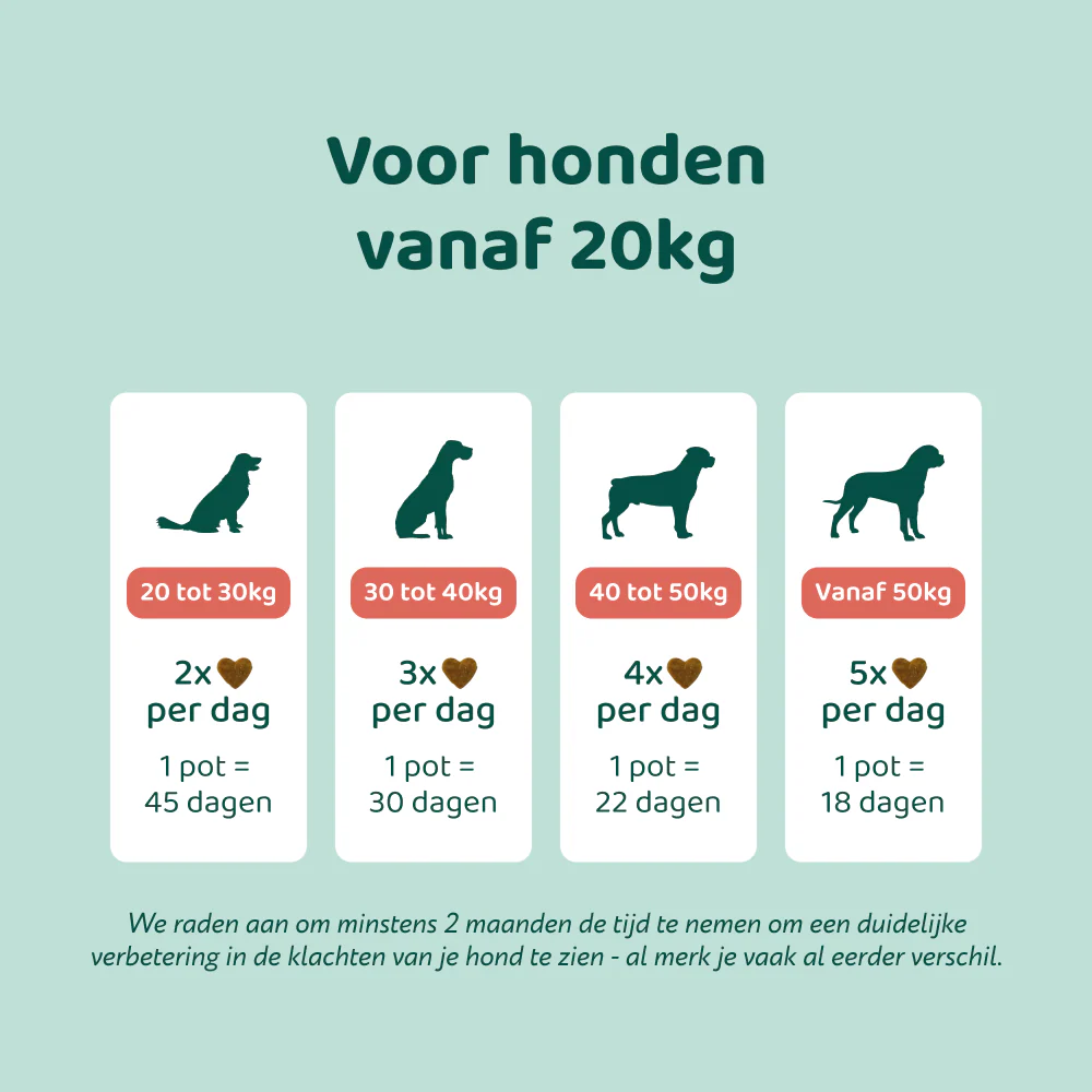 Heup & Gewrichten GroteHond⁺ 🌿 90 snoepjes - Image 6