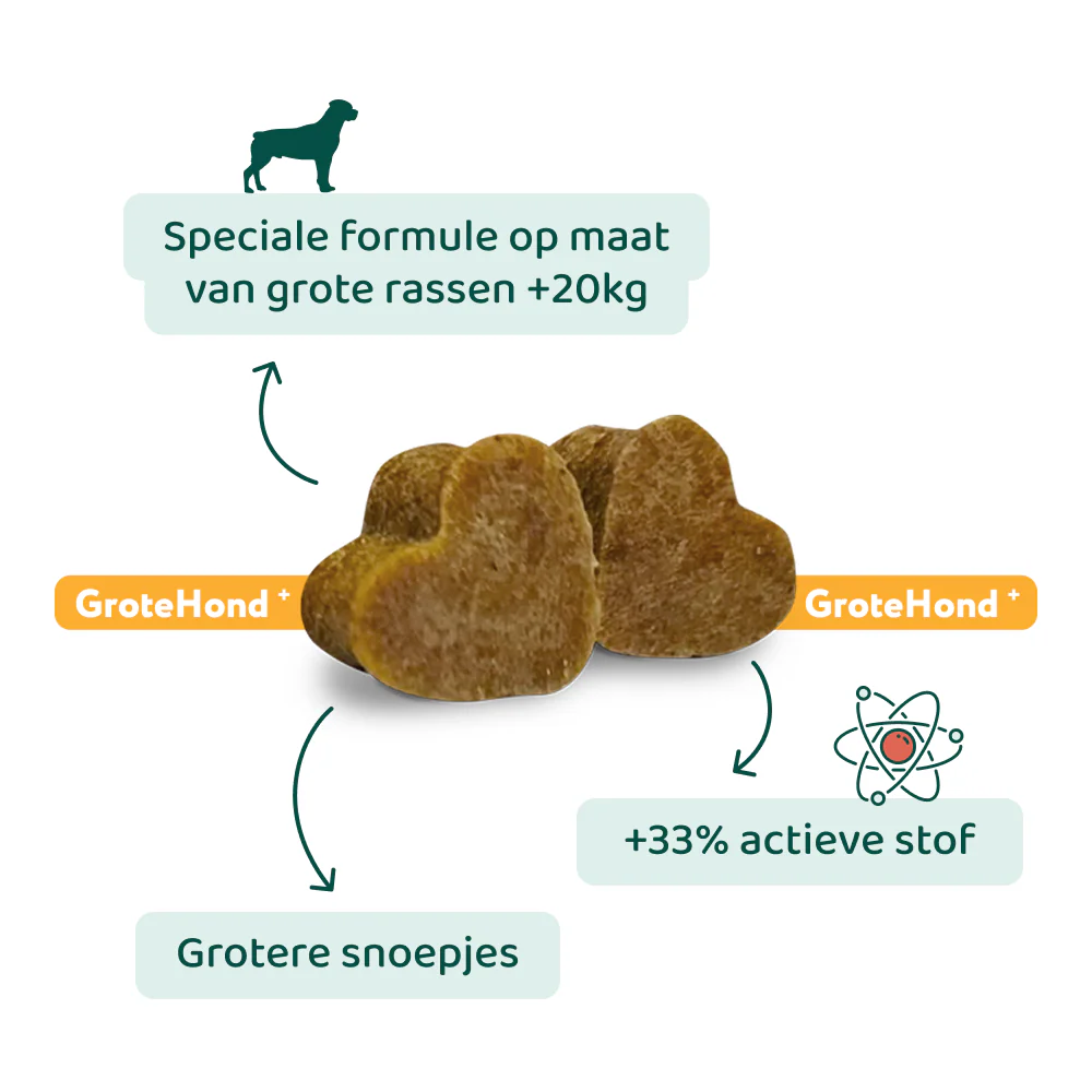 Heup & Gewrichten GroteHond⁺ 🌿 90 snoepjes - Image 7