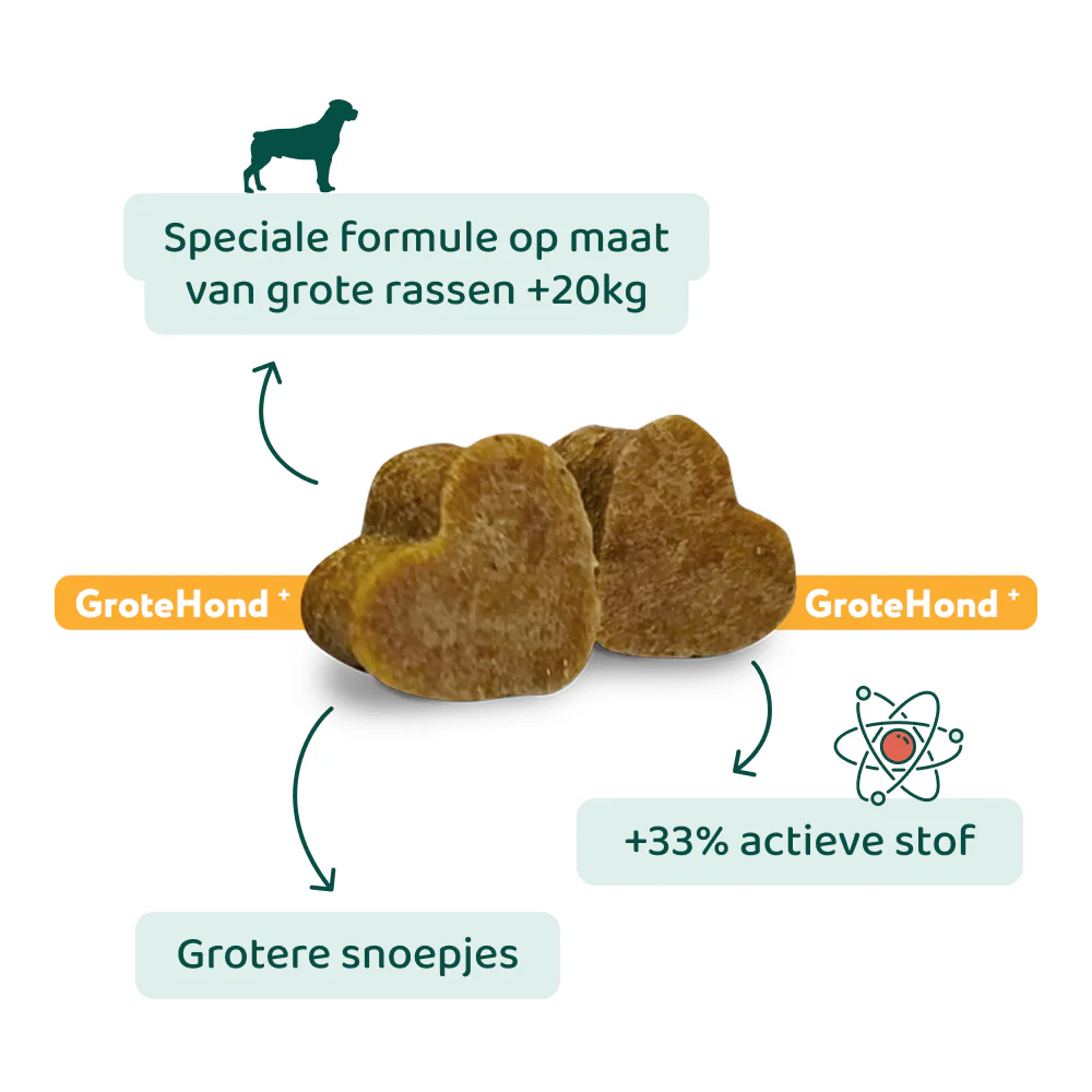 Probiotica Forte GroteHond⁺ 🌿 90 snoepjes - Image 6