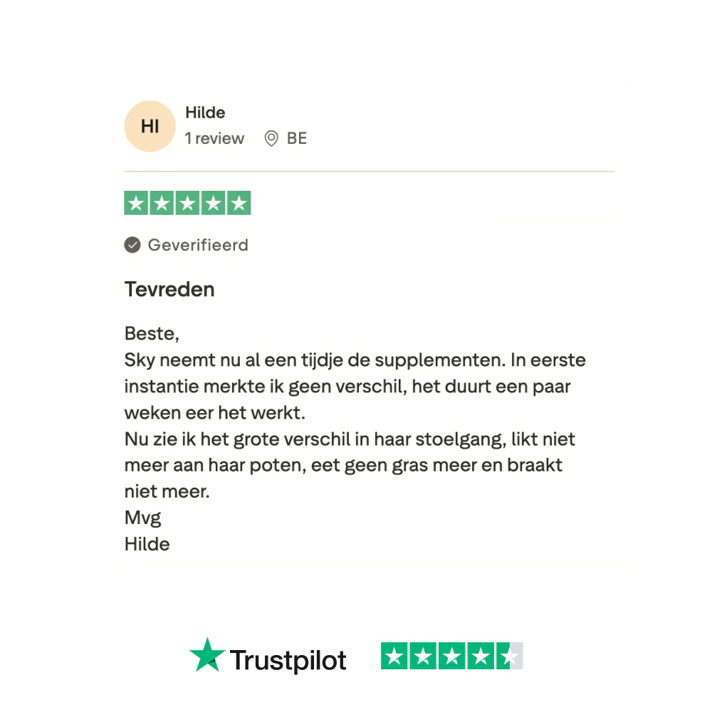 Probiotica Forte GroteHond⁺ 🌿 90 snoepjes - Image 9
