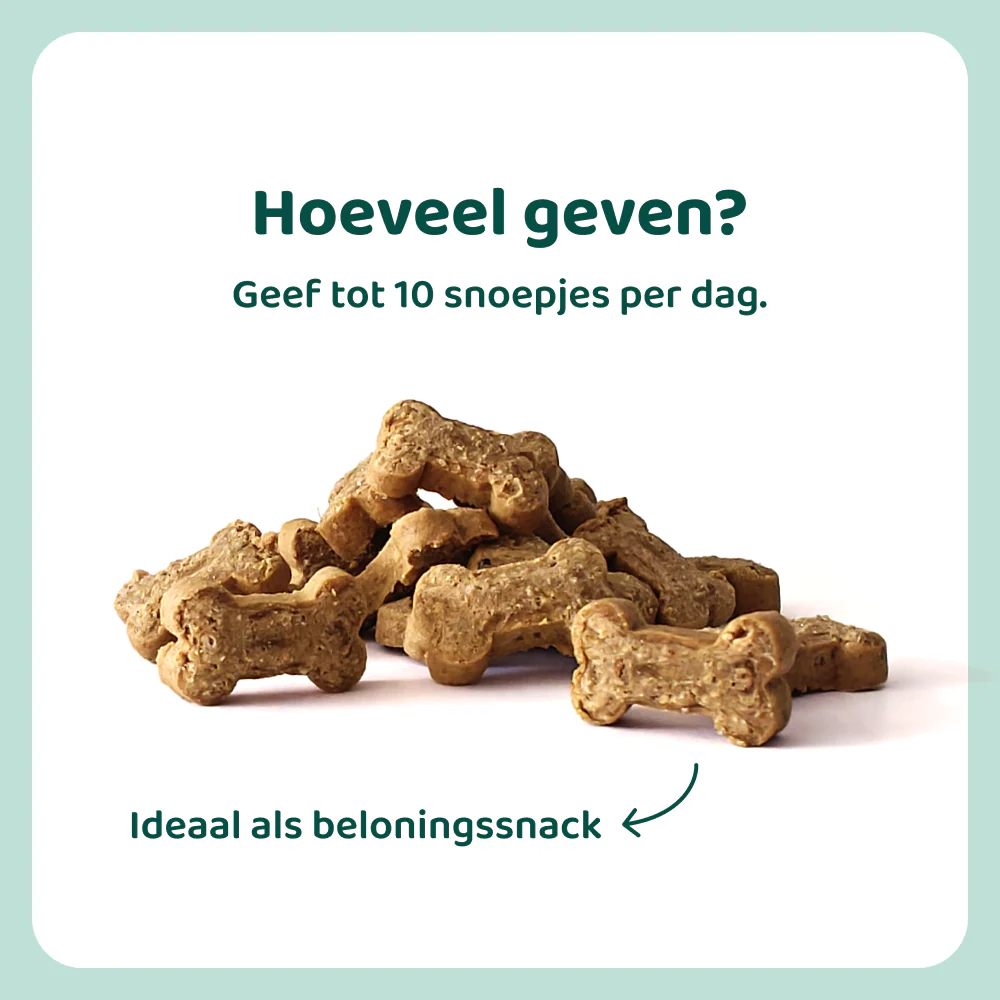 Vitamine Boost 🌿 60-70 stuks/zakje - Image 3