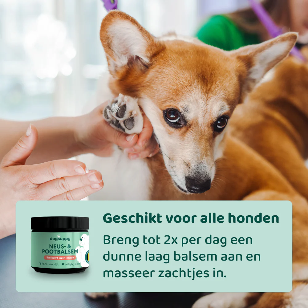 Neus- & Pootbalsem 🌿  125 ml - Image 7