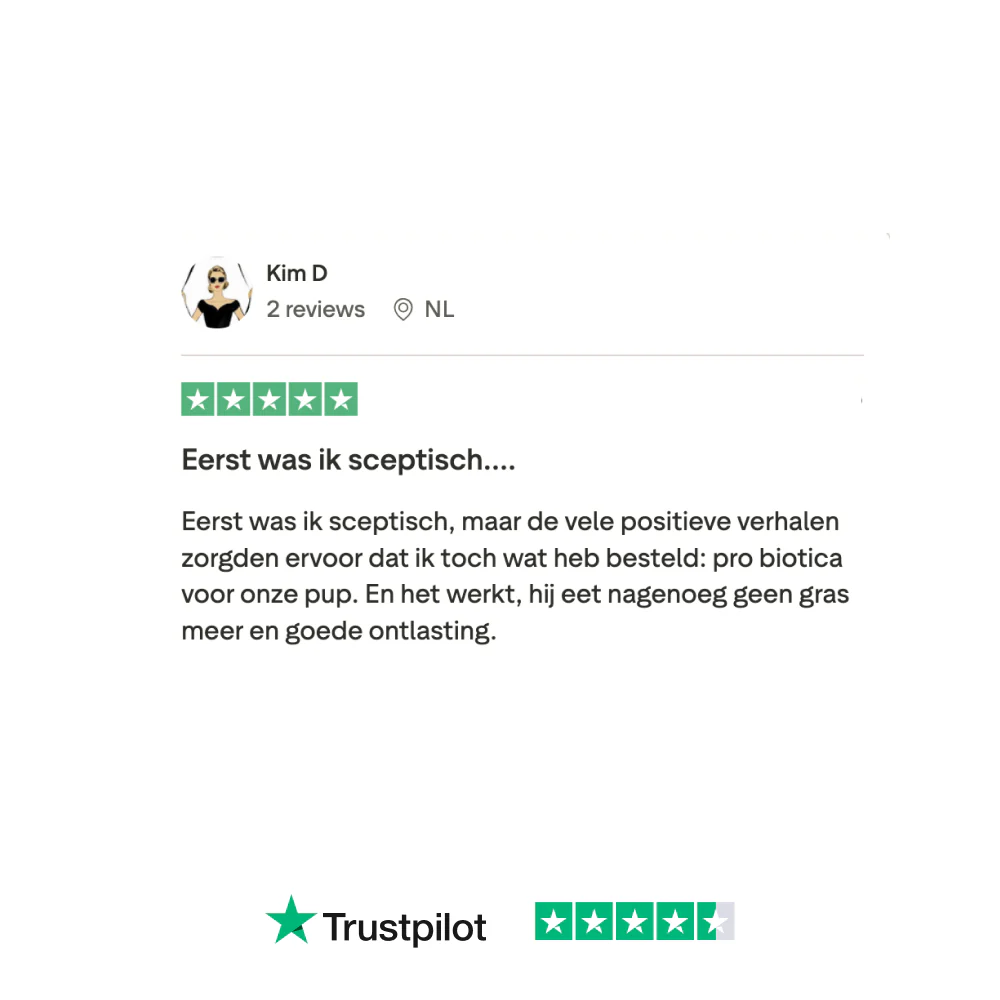 Probiotica Forte 🌿 60 snoepjes - Image 11
