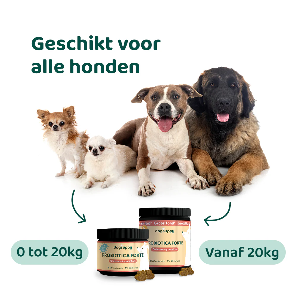 Probiotica Forte 🌿 60 snoepjes - Image 5