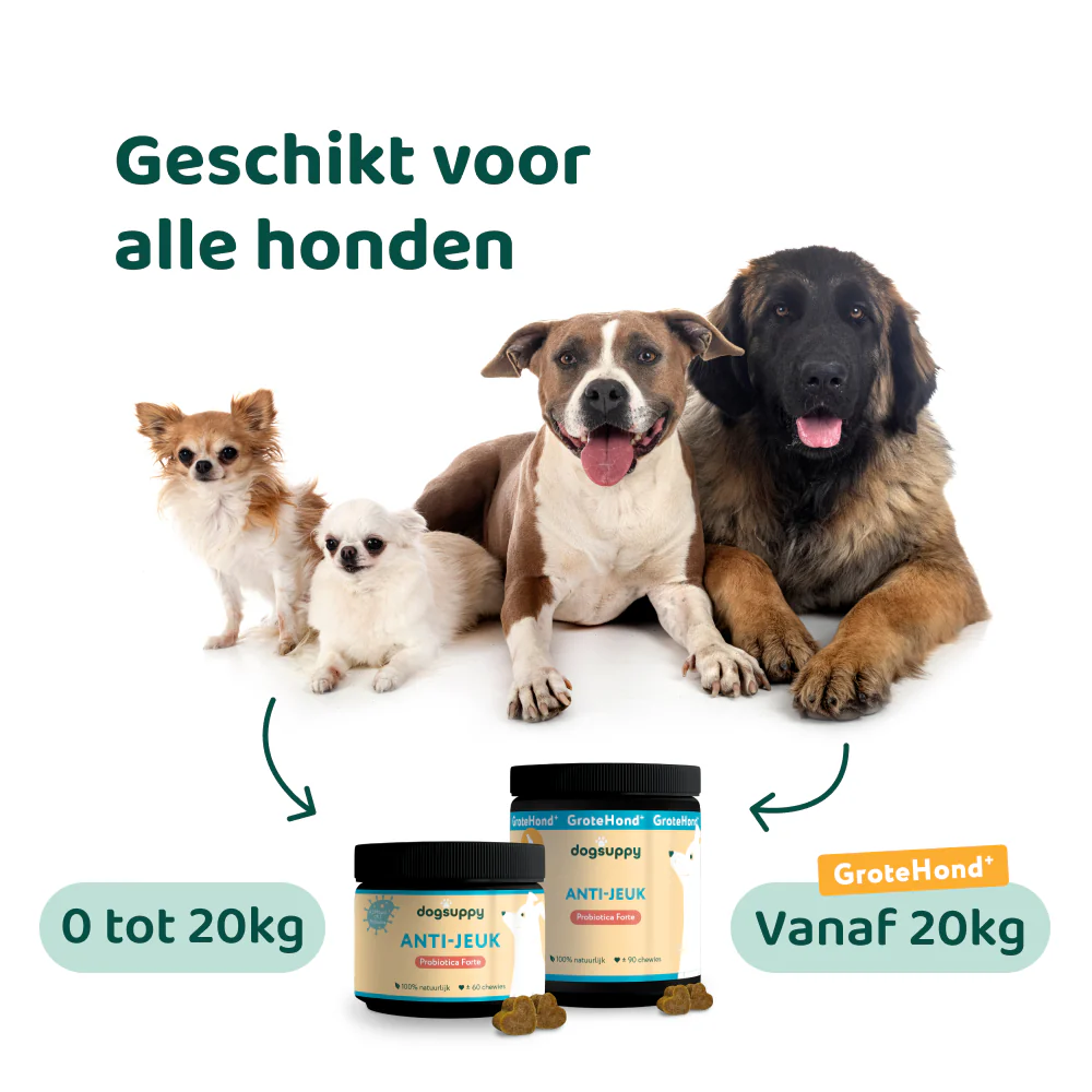Anti-Jeuk Probiotica 🌿 60 snoepjes - Image 12