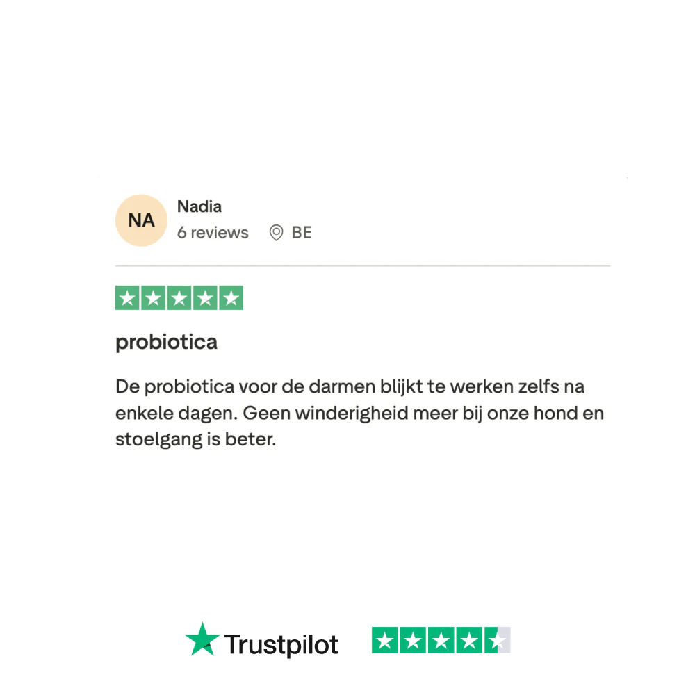 Probiotica Forte Poeder 🌿 60 schepjes - Image 7