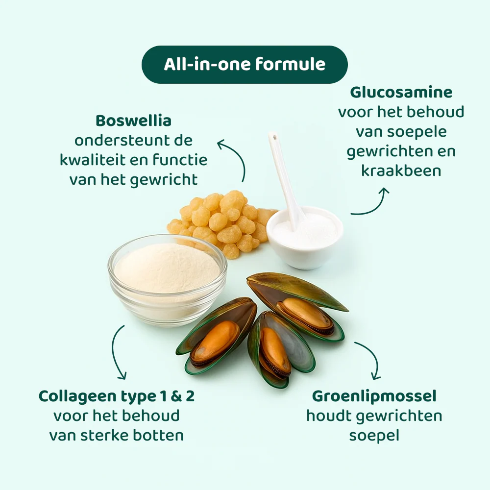 [BUN] Soepele Gewrichten - Image 5