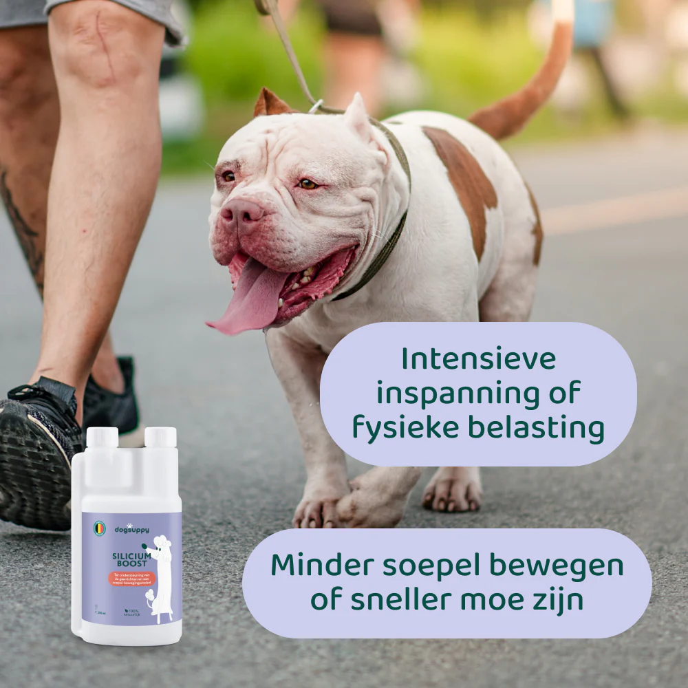 [BUN] Soepele Gewrichten - Image 6